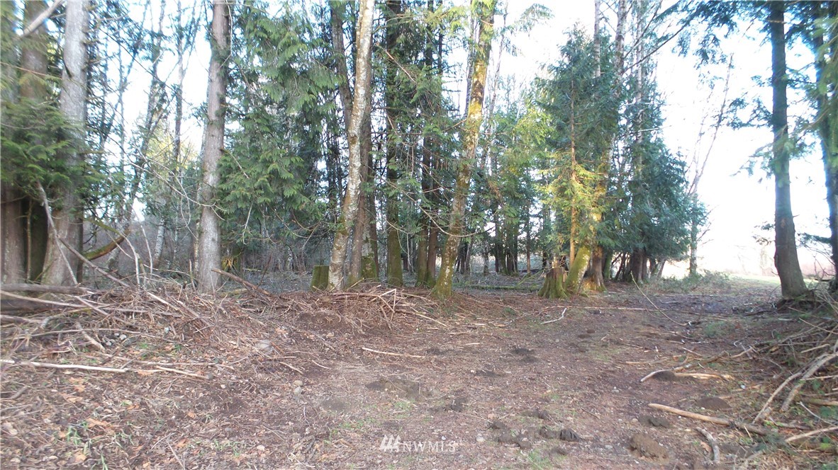 0 Taylor Ferry Road Elma, WA 98541 - Photo 8 of 18 Gallery Image 8