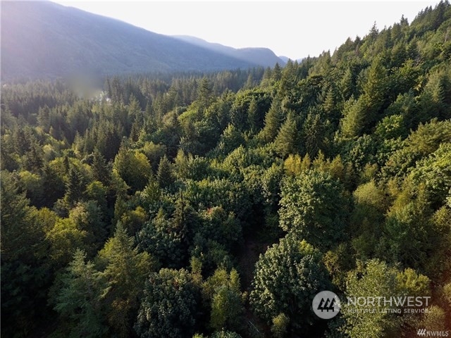 7753 Casey Road Deming, WA 98244 - Photo 1 of 15 Gallery Image 1