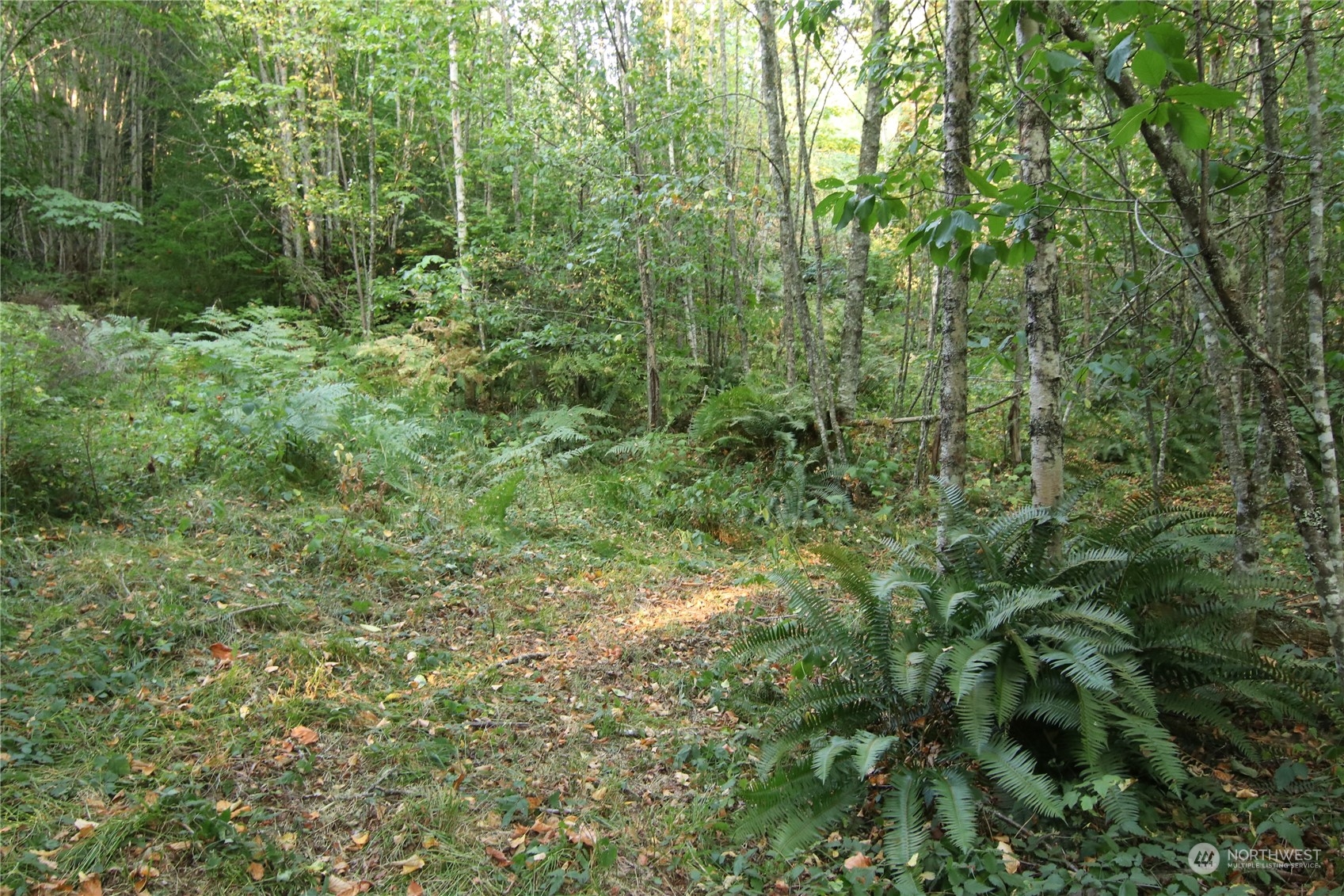 7753 Casey Road Deming, WA 98244 - Photo 13 of 15 Gallery Image 13