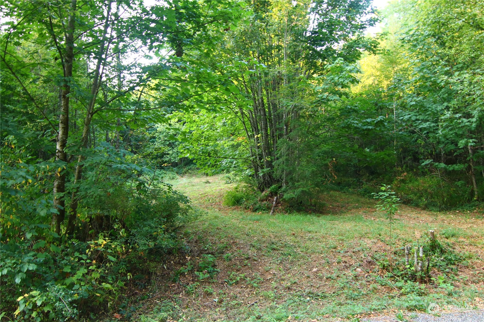 7753 Casey Road Deming, WA 98244 - Photo 2 of 15 Gallery Image 2