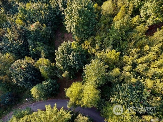 7753 Casey Road Deming, WA 98244 - Photo 4 of 15 Gallery Image 4
