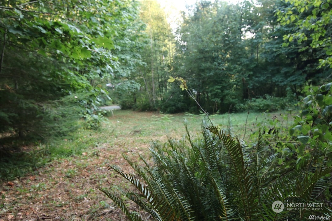7753 Casey Road Deming, WA 98244 - Photo 7 of 15 Gallery Image 7