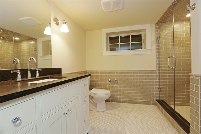 116 South Adams Street Hinsdale, IL 60521 - Photo 23 of 25 a bathroom with a sink a toilet and shower