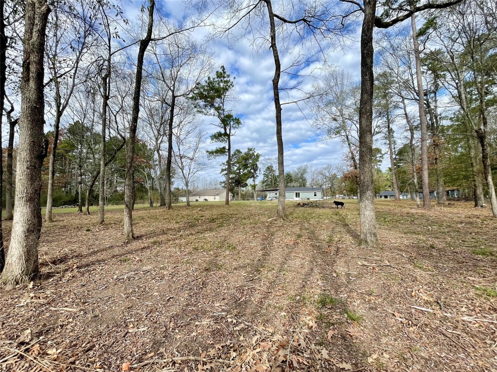 2504 Davisville Road Lufkin, TX 75901 - Photo 24 of 26 a backyard of a house with lots of green space