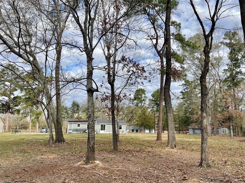 2504 Davisville Road Lufkin, TX 75901 - Photo 26 of 26 a view of a yard with a tree