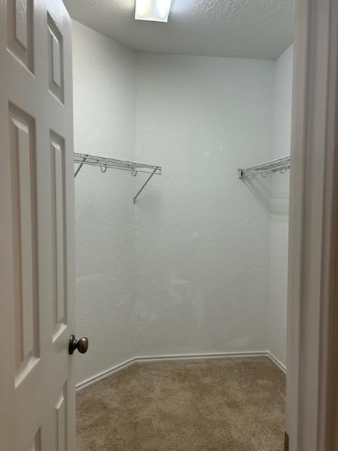 3618 Primrose Trace Lane Spring, TX 77389 - Photo 17 of 23