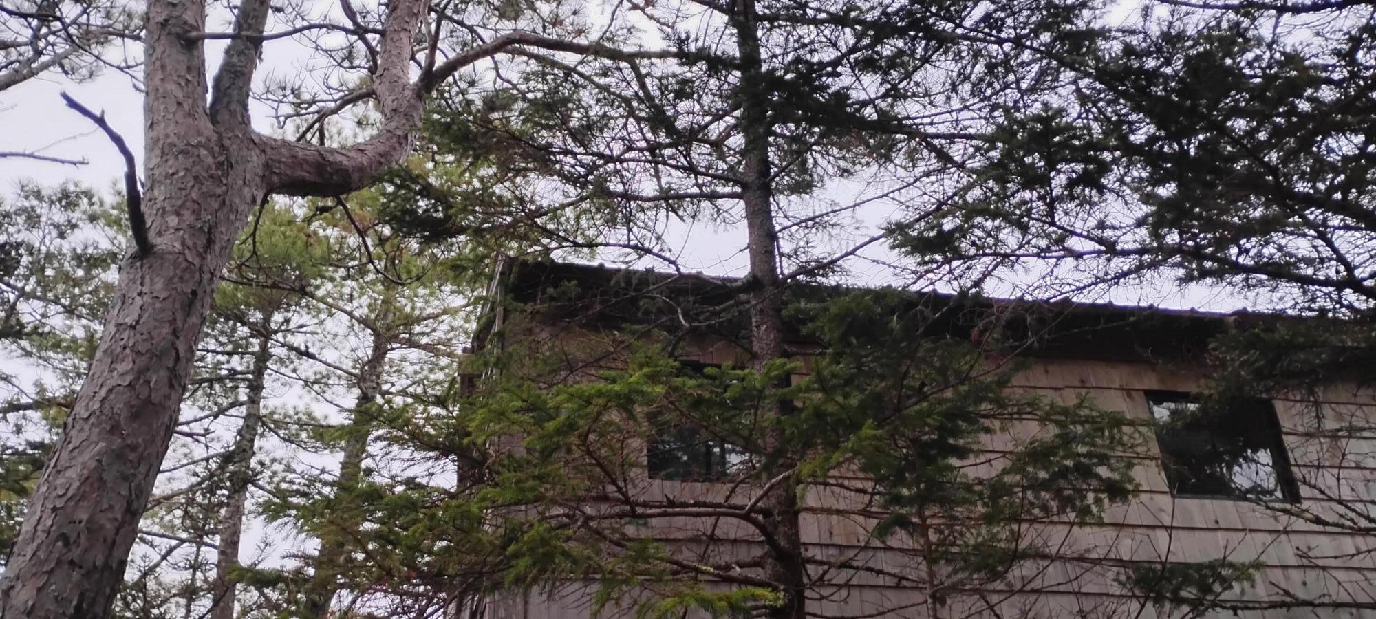 162 Ayers Junction Road Pembroke, ME 04666 - Photo 18 of 31