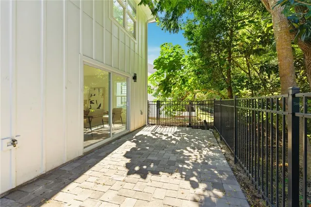a view of a yard with plants and large trees