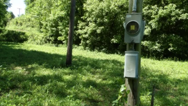 a view of a yard of a house