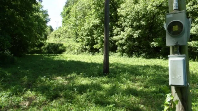a view of backyard with green space