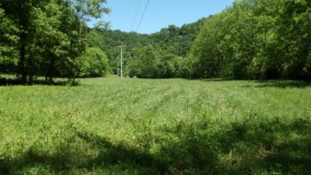 a view of patio and yard