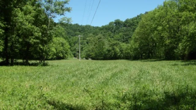 a view of outdoor space and yard
