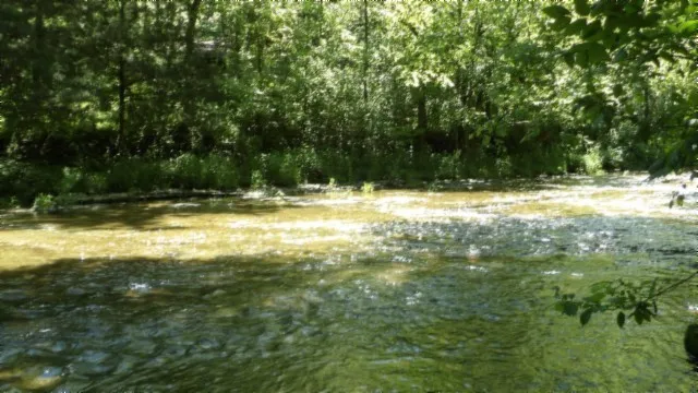 a view of a lush green space