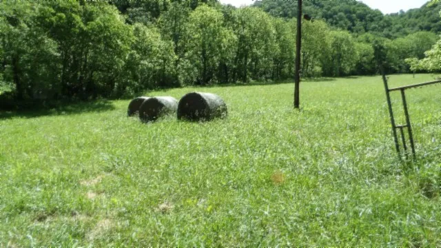 a backyard of a house with lots of green space
