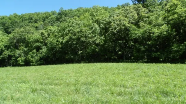 a view of green field with trees in the background