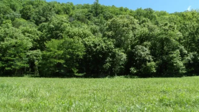 a view of an outdoor space with a lake view