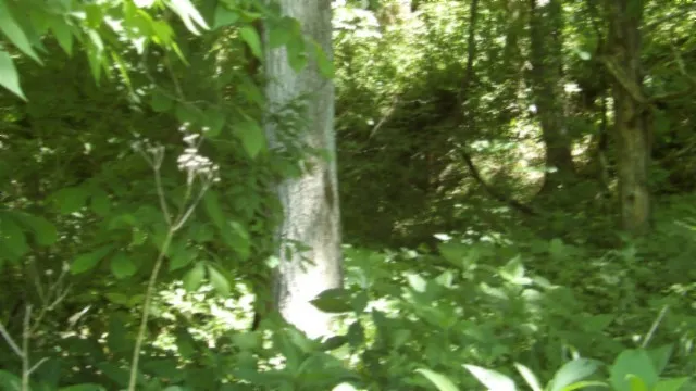 a view of a lake view