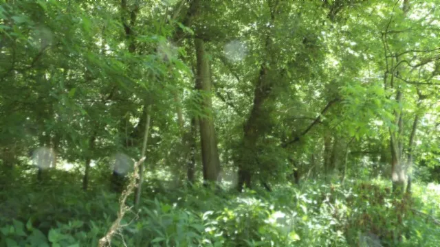 a sign on the side of the road