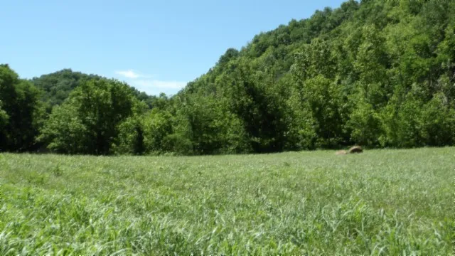 $749,900 | 5155 Brimstone Creek Road, Moss, TN 38575