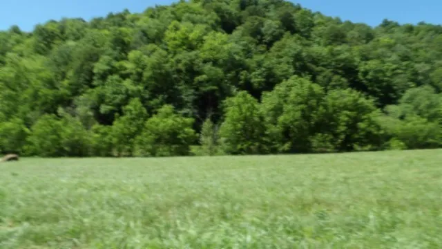 $749,900 | 5155 Brimstone Creek Road, Moss, TN 38575