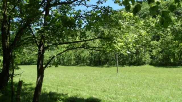 $749,900 | 5155 Brimstone Creek Road, Moss, TN 38575