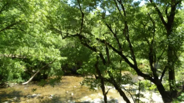 $749,900 | 5155 Brimstone Creek Road, Moss, TN 38575