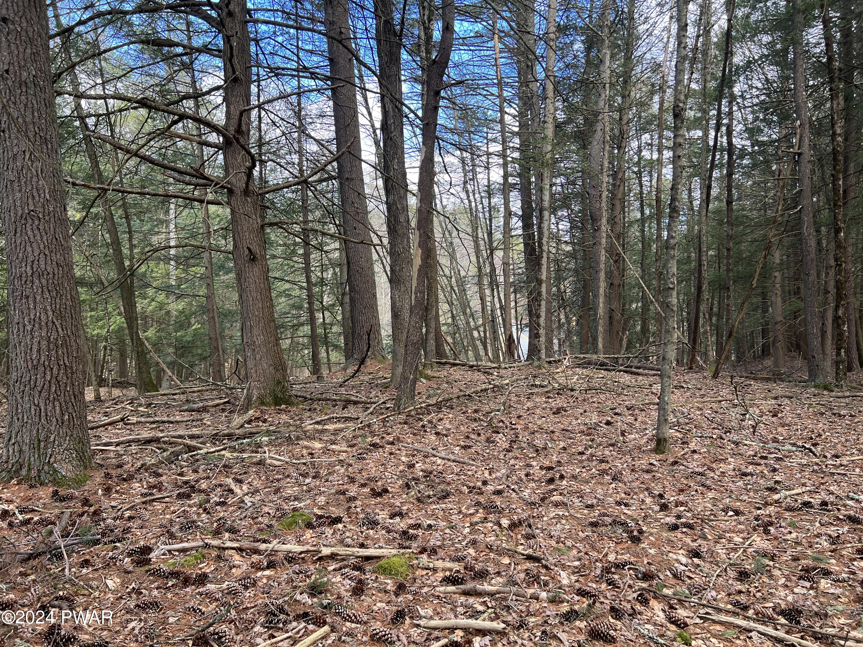 Creek Road Hawley, PA 18428 - Photo 6 of 21