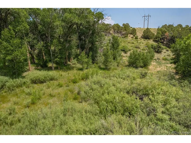 a view of a lush green field