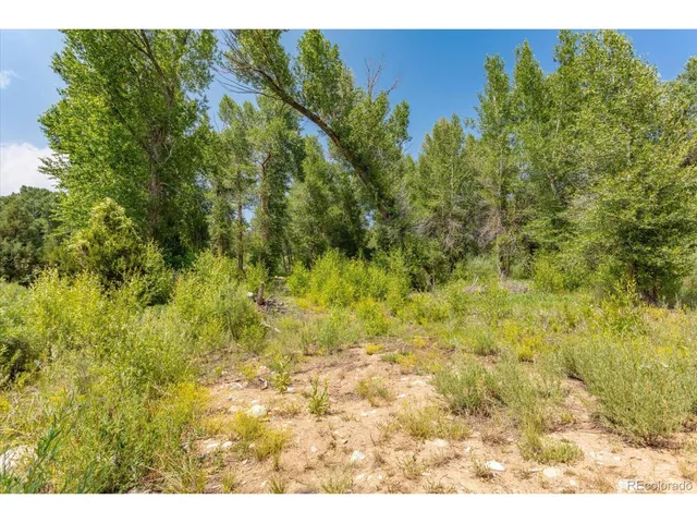 a view of a bunch of trees