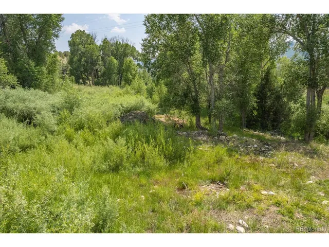 a view of a yard with trees