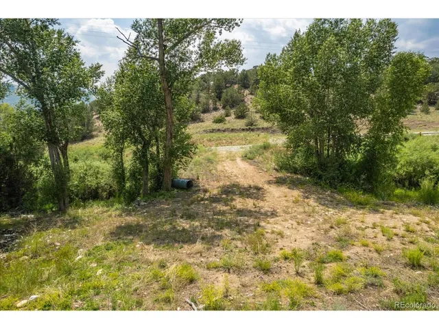 a view of a lush green hillside and a houses