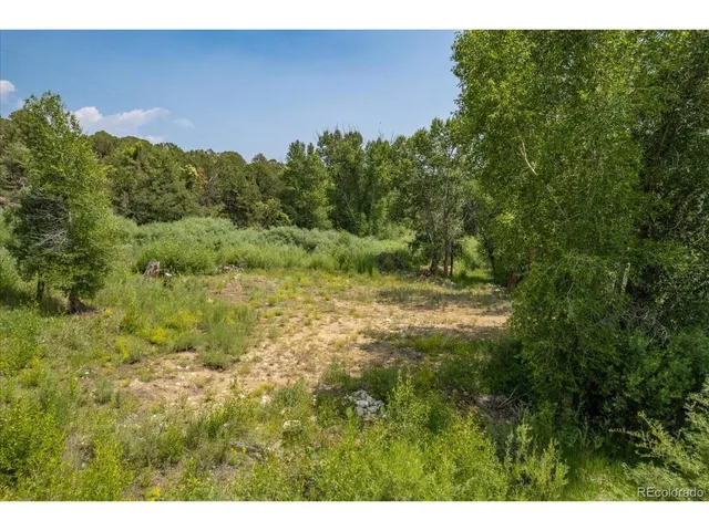 a view of a bunch of trees in a field