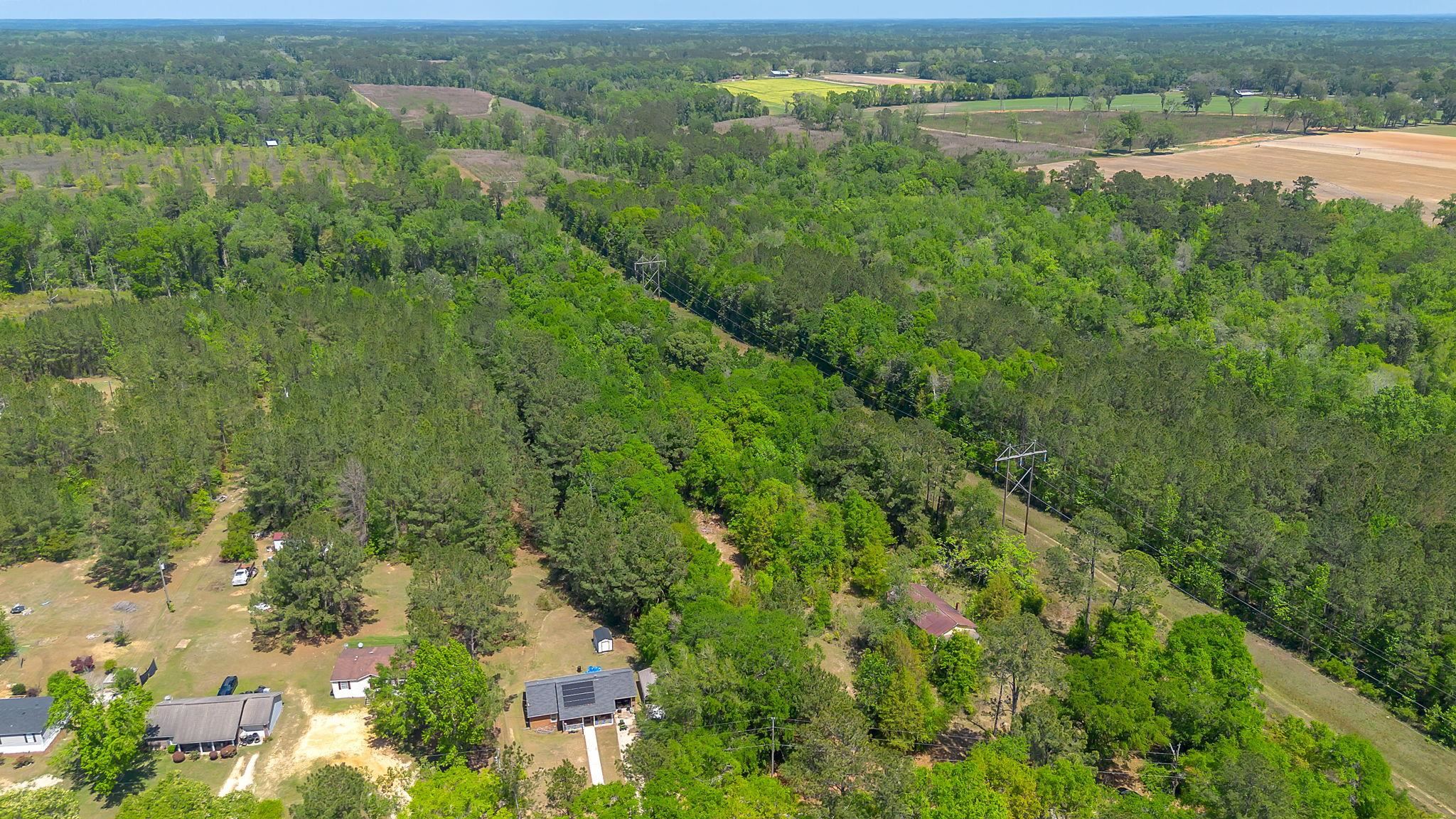 404 McNair Road Havana, FL 32333 - Photo 2 of 5