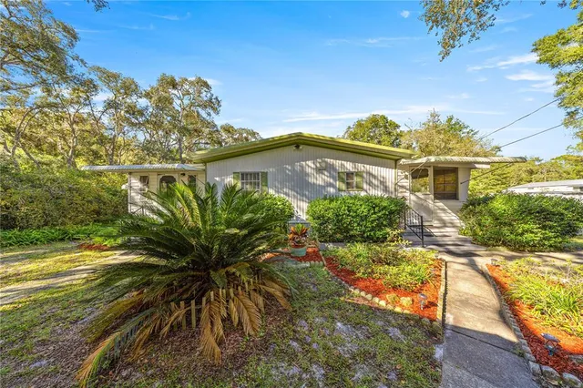 a view of a big yard with potted plants