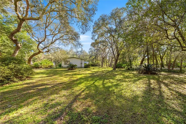 a view of yard with large trees