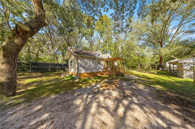 a view of a yard with plants and trees