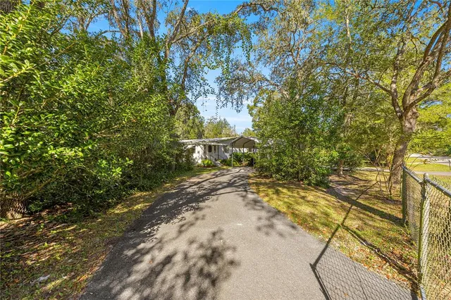a view of a yard with plants and trees