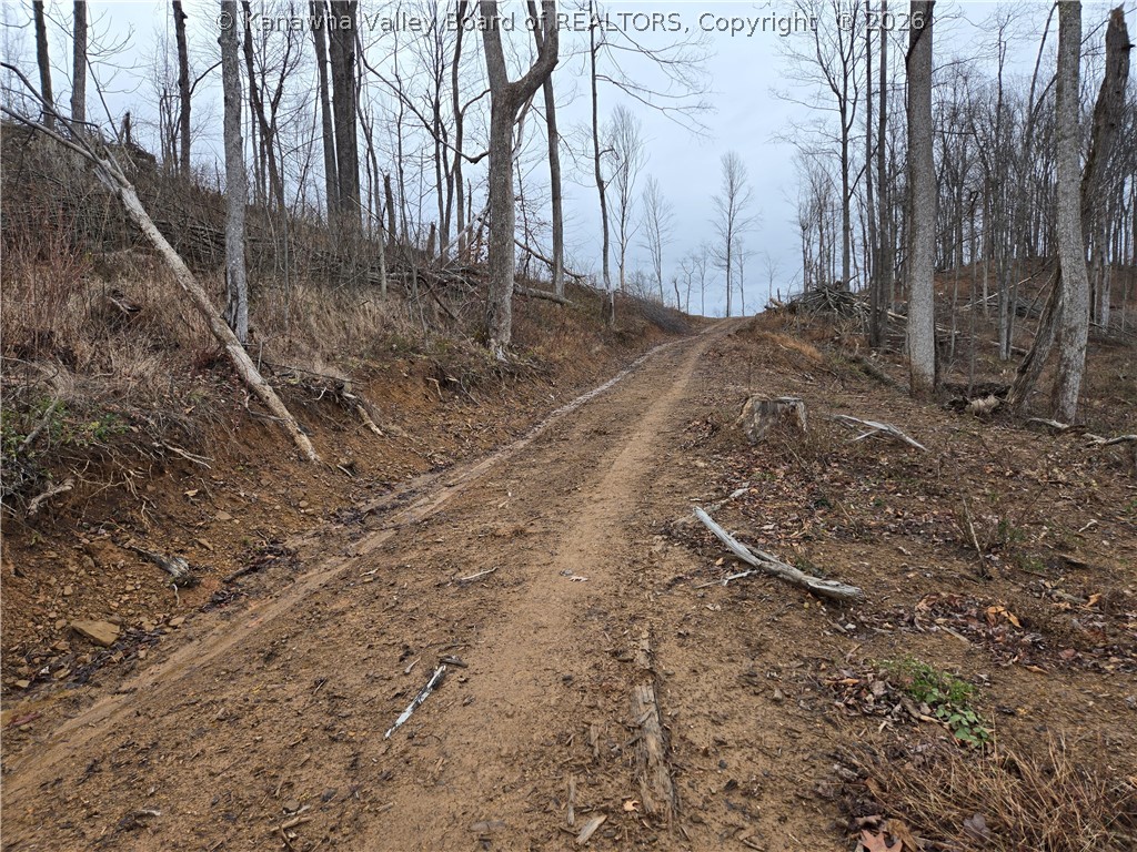 0 Beechy Road Procious, WV 25164 - Photo 2 of 29 Gallery Image 2
