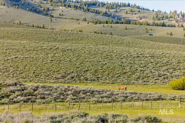 $6,950,000 | 1000 Nip N Tuck, Stanley, ID 83278