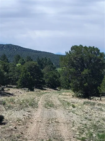 $22,000 | 107 Crosstimber Lane, Mosca, CO 81146