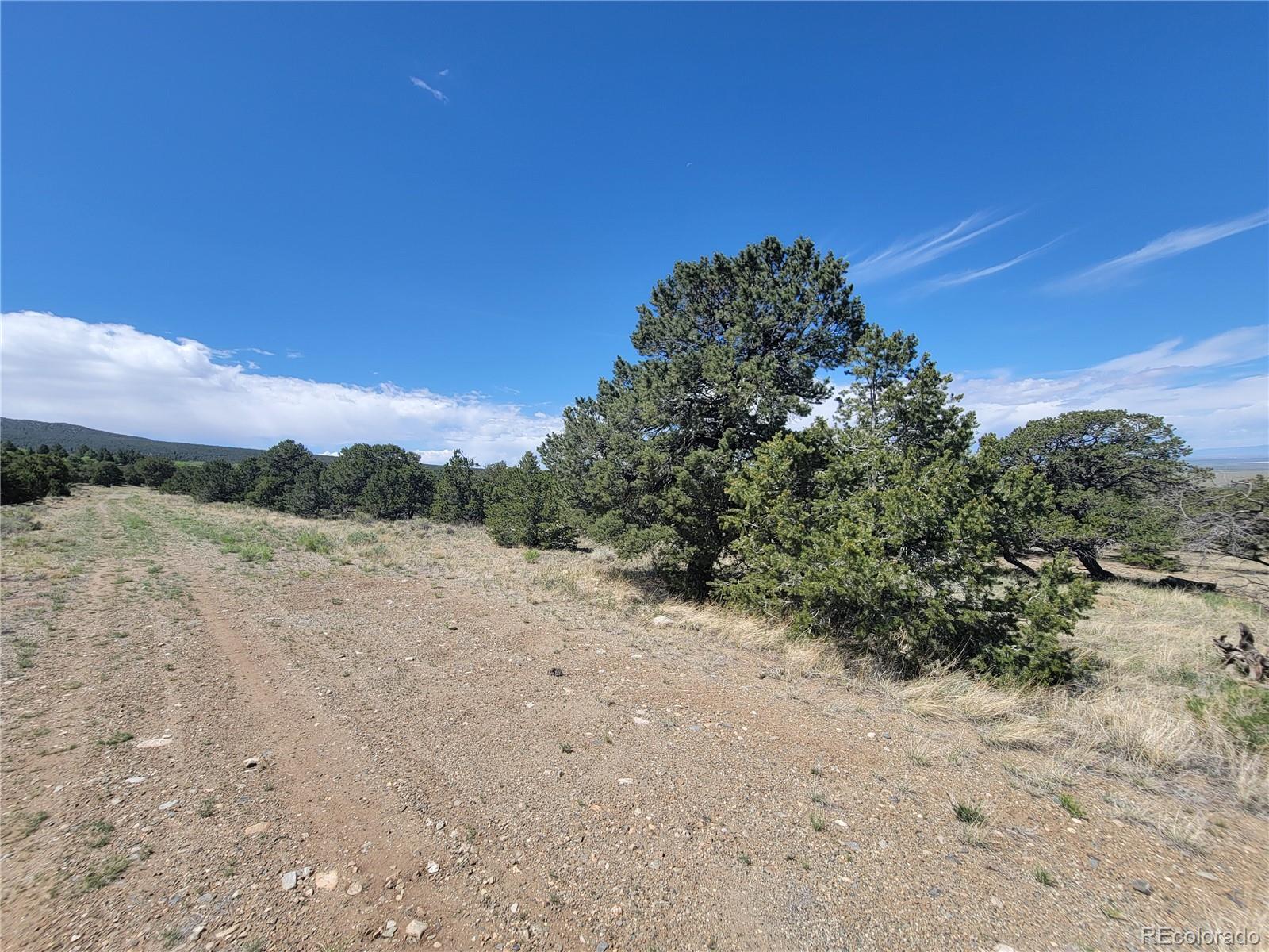 107 Crosstimber Lane Mosca, CO 81146 - Photo 6 of 9