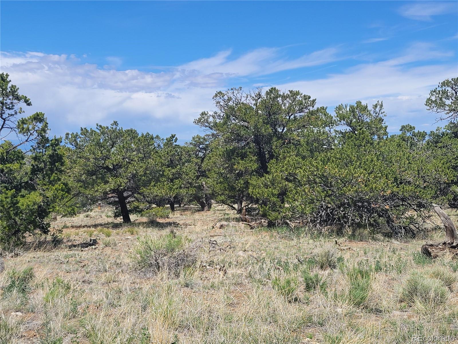 107 Crosstimber Lane Mosca, CO 81146 - Photo 7 of 9