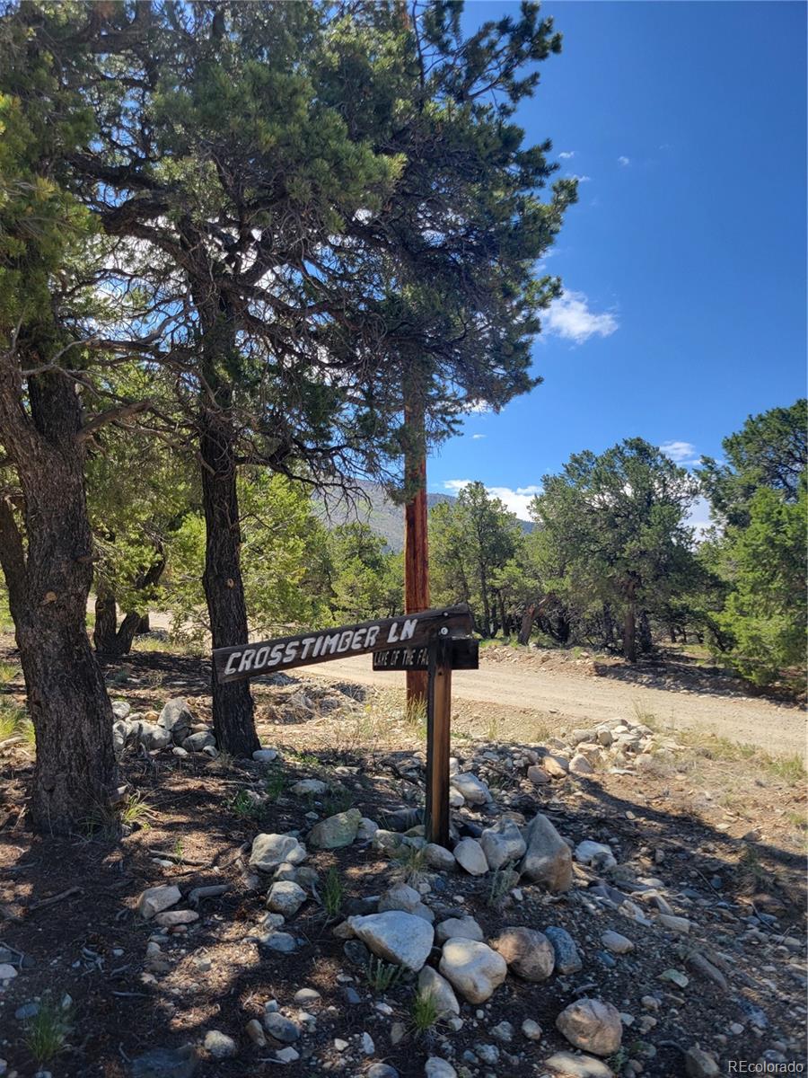 107 Crosstimber Lane Mosca, CO 81146 - Photo 8 of 9