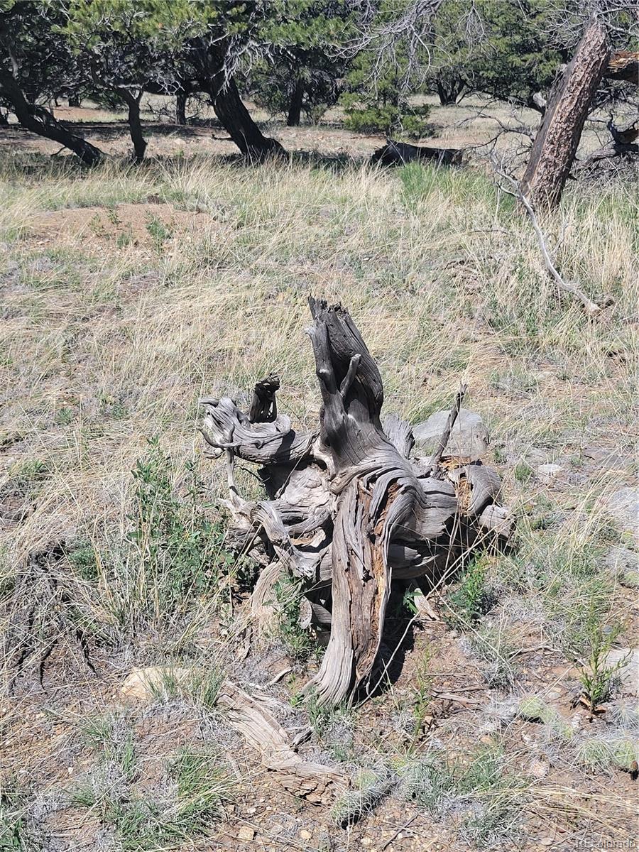 107 Crosstimber Lane Mosca, CO 81146 - Photo 9 of 9