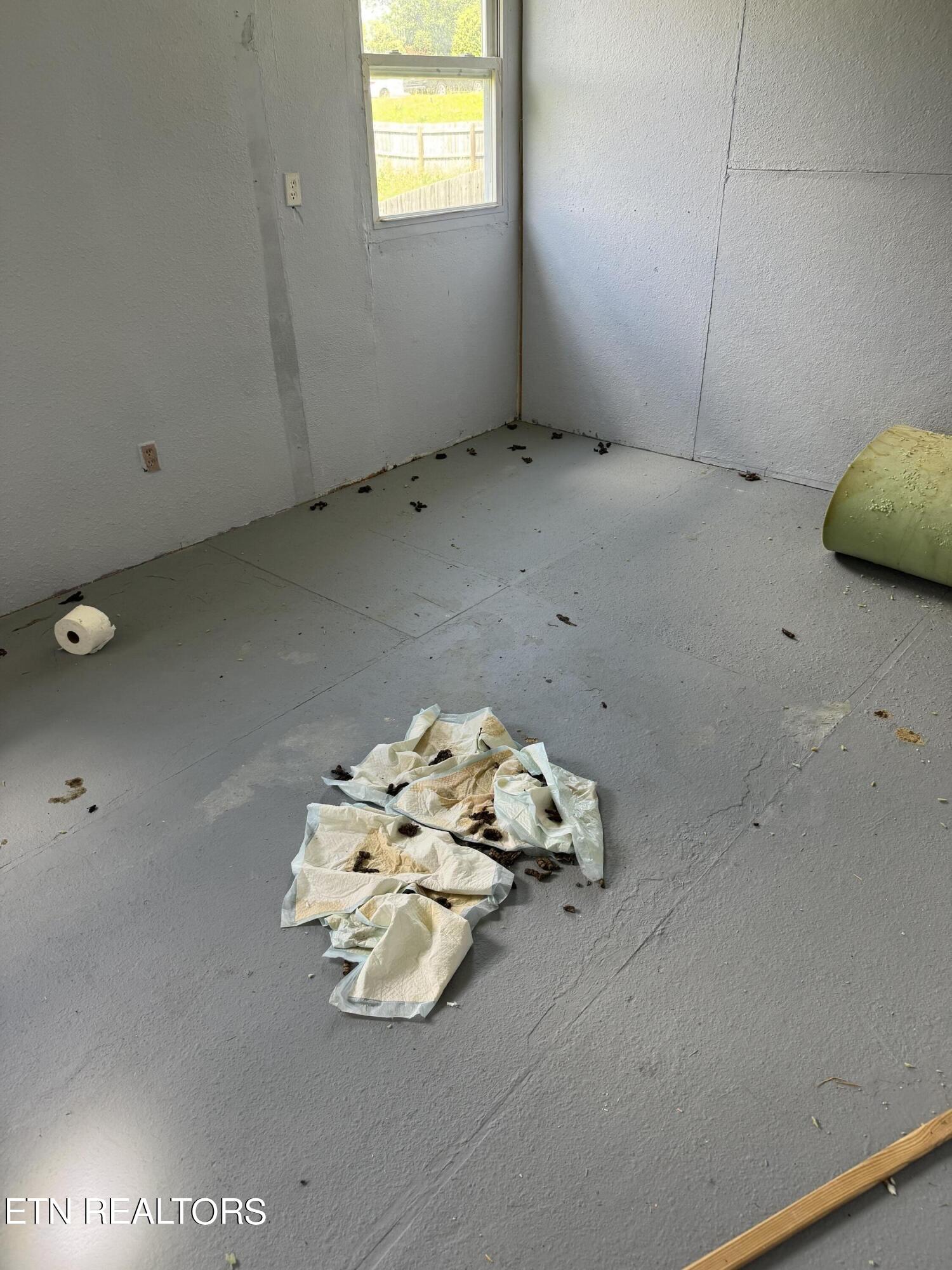 402 Harmon Road New Tazewell, TN 37825 - Photo 39 of 41 IMG_1466