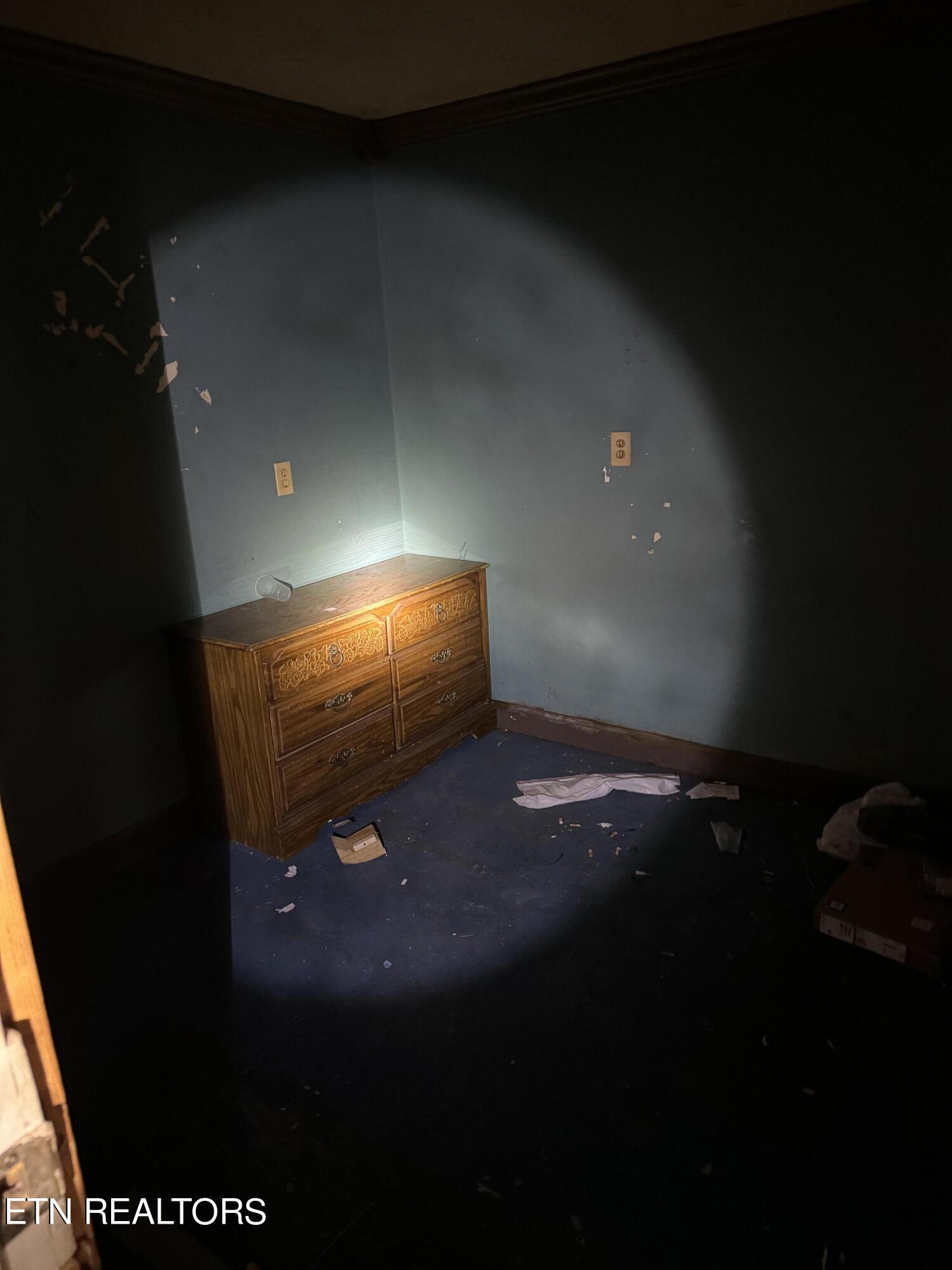 402 Harmon Road New Tazewell, TN 37825 - Photo 10 of 41 IMG_1431