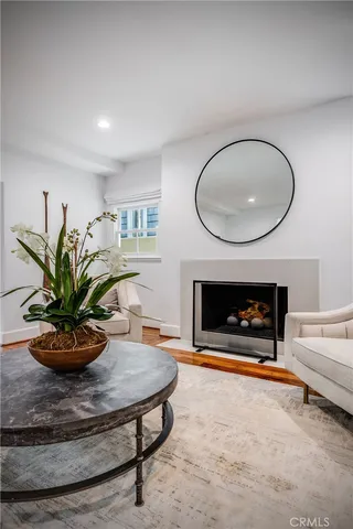 a living room with furniture a fireplace and a potted plant