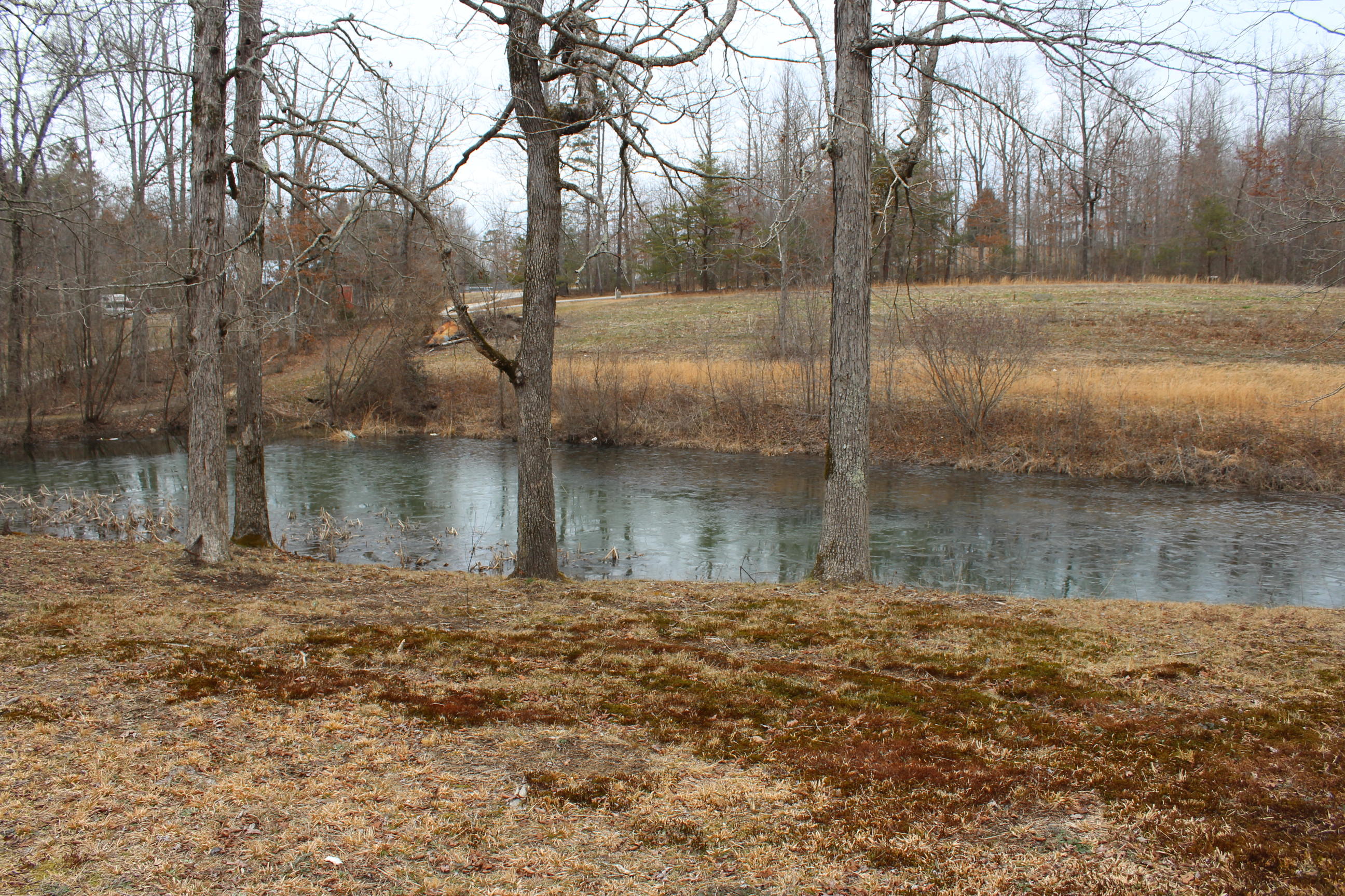1429 Taylor Place Road Jamestown, TN 38556 - Photo 14 of 19 045
