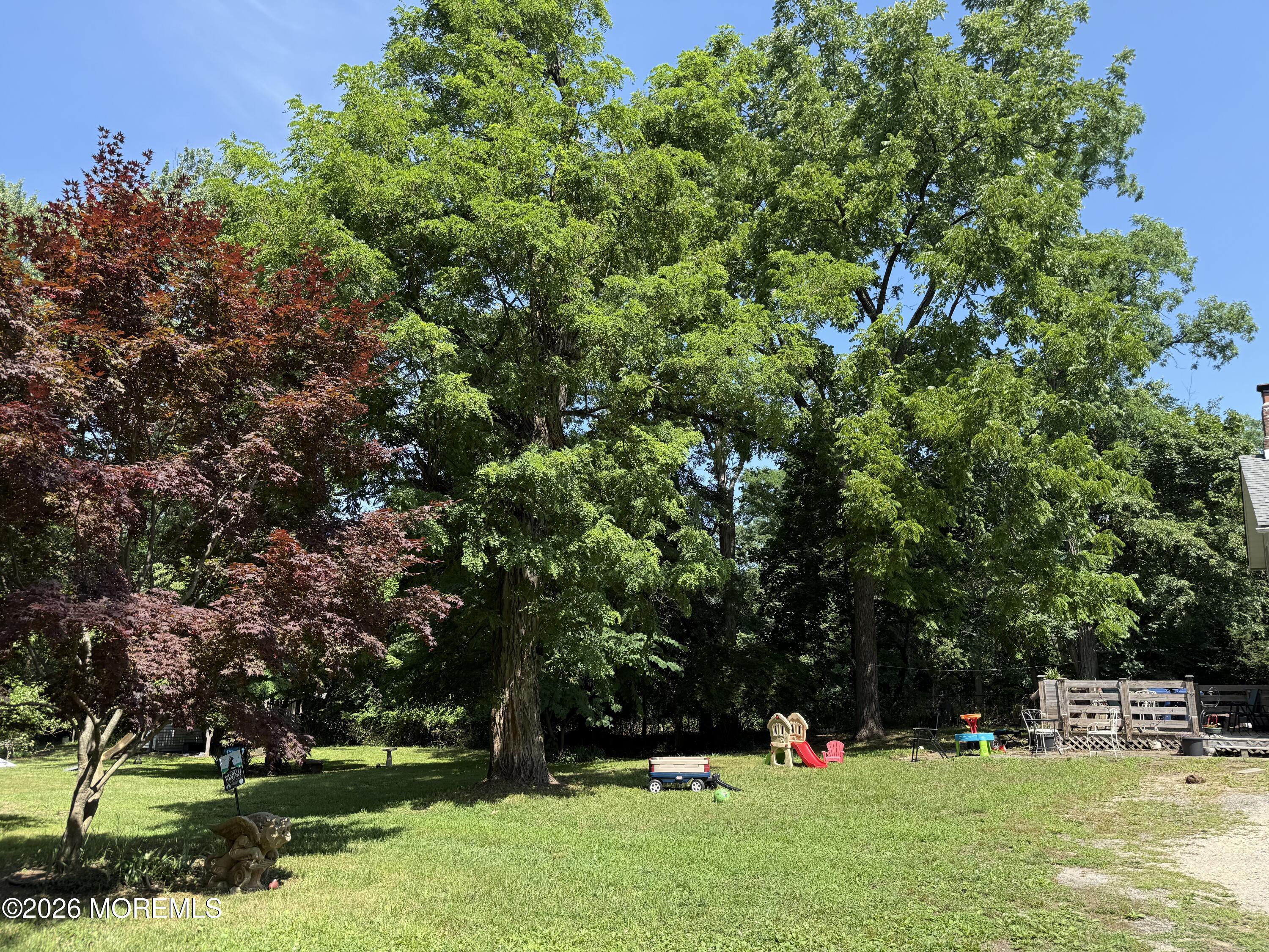 729 Wayside Road Neptune Township, NJ 07753 - Photo 11 of 13 IMG_5211