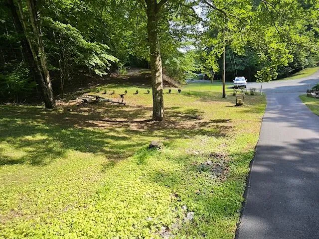 a view of livingroom with furniture and front door